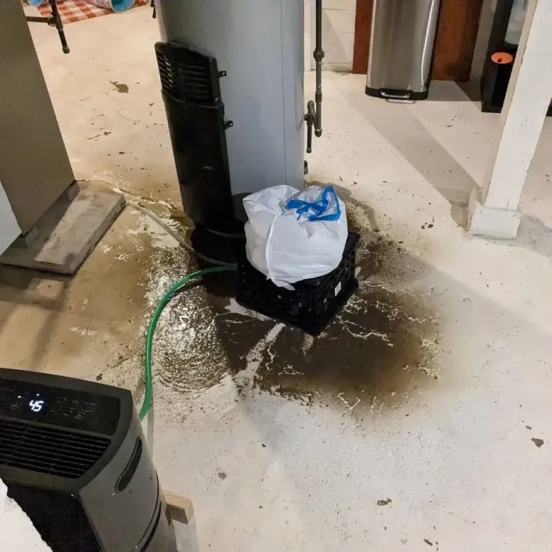 Sewage Backup Cleanup Service in Seville, OH